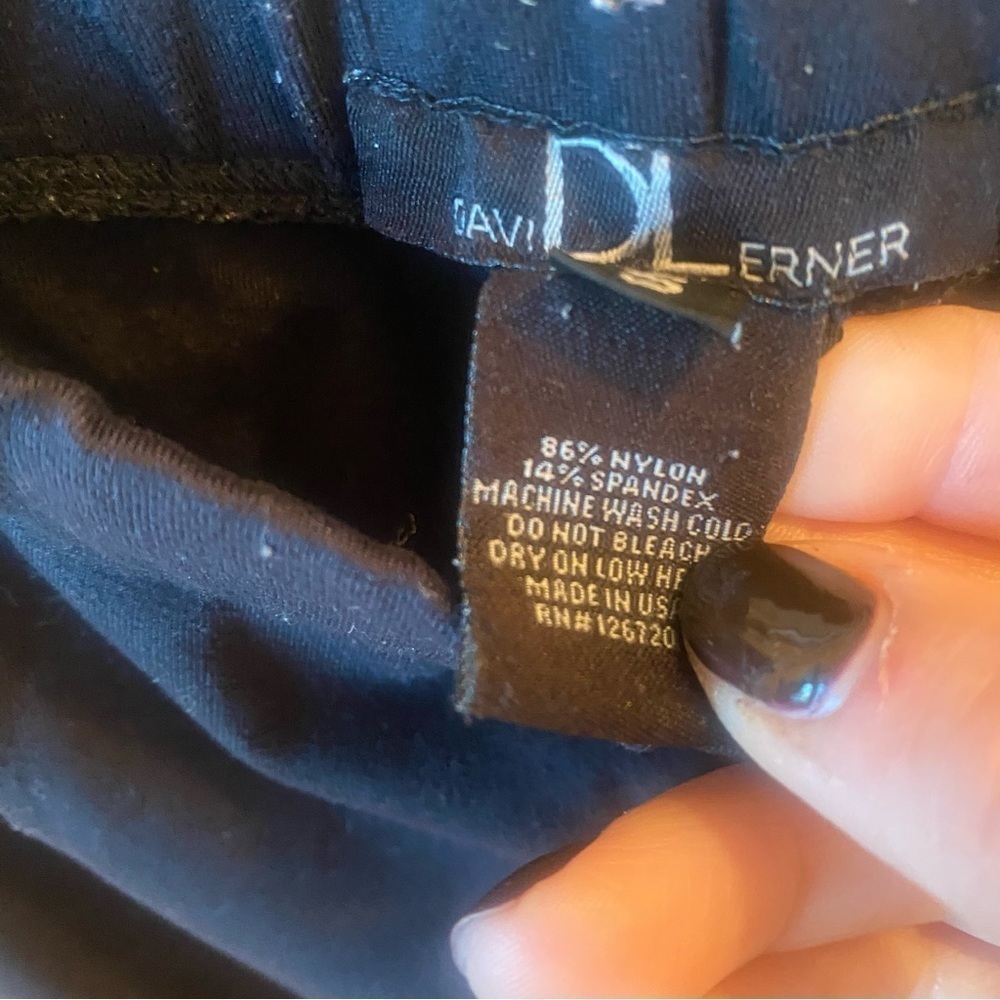 David Lerner - Picture 10 of 11
